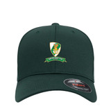 Flexfit Cap -WISE