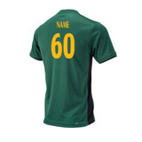 Junior Training Shirt -CHESTFCC