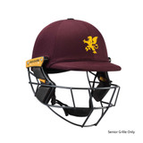 T Line Titanium Helmet-WDHCC