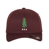 Flexfit Cap -ALNECC