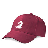 Basic Cap -GALTCC