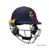 T Line Titanium Helmet-LEYB