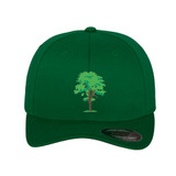 Flexfit Cap -CHESTFCC