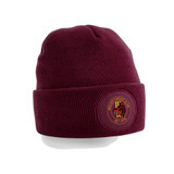 Tech Beanie-WOLVEY