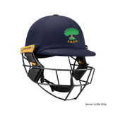 T Line Titanium Helmet-CLYNB