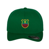 Flexfit Cap -AMMCC