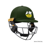 T Line Titanium Helmet-STNESP