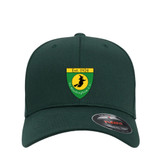 Flexfit Cap -GWITCHCC