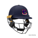 T Line Titanium Helmet-BRISTOL