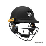 T Line Titanium Helmet-HAMHILL