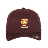 Flexfit Cap -BRAIN