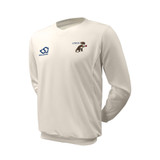 Junior Long Sleeve Cricket Slipover -LTDCC