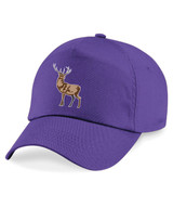 Basic Cap - Purple-MANDBCC