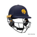 T Line Titanium Helmet - DEARC