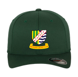 Flexfit Cap -WEGT