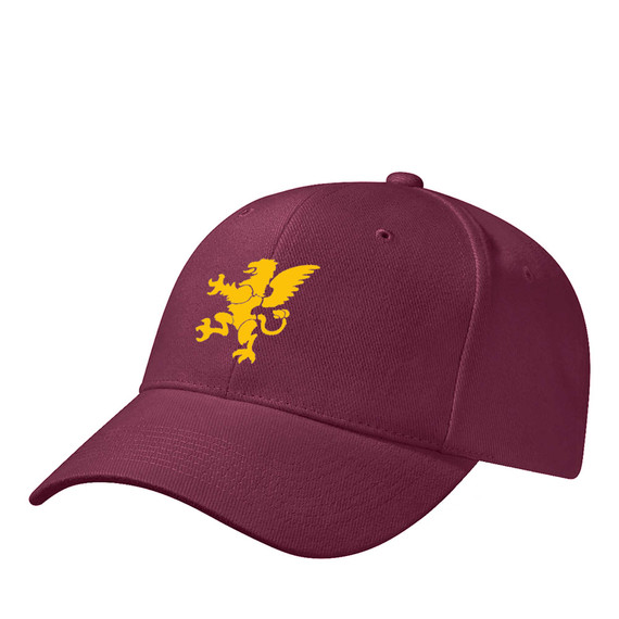 Basic Cap -WDHCC