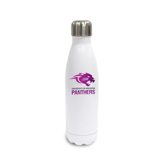Stainless Steel Water Bottle -BRIU