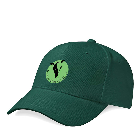 Basic Cap -NEWTON
