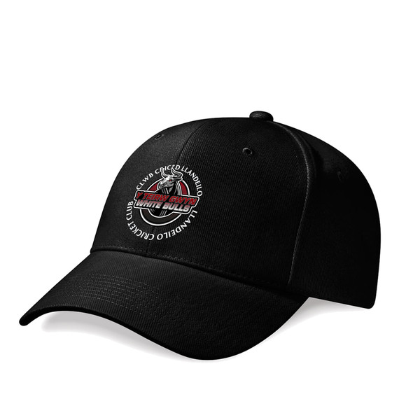 Basic Cap -LLDEILO
