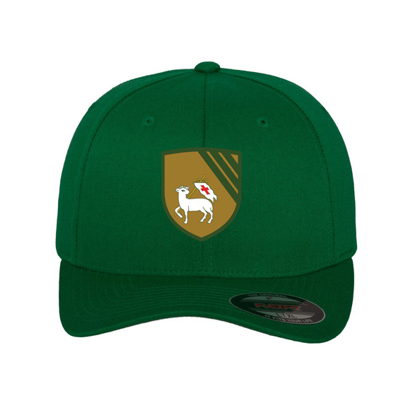 Flexfit Cap -DRYSDN