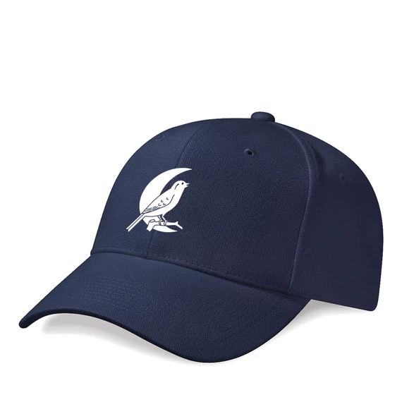 Basic Cap -GPDG1