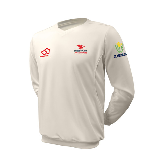Junior Long Sleeve Cricket Slipover -WALES