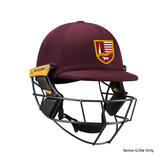 T Line Titanium Helmet-SWILTS