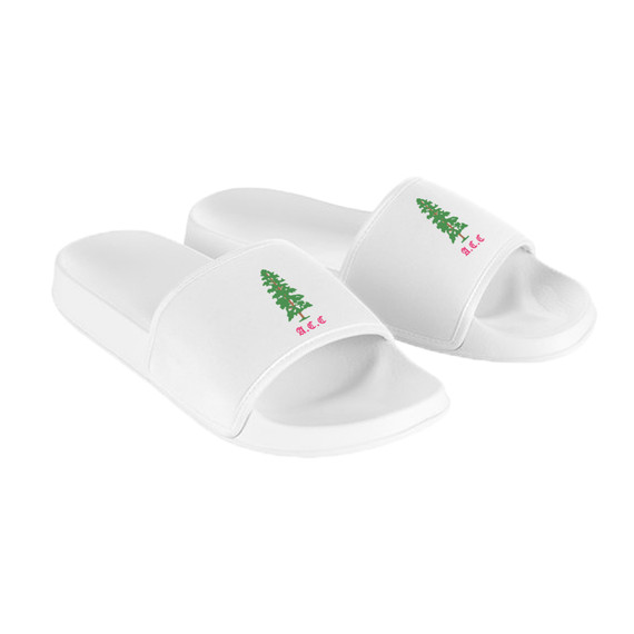 Sliders - ALNECC