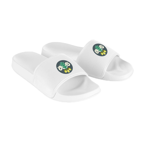 Sliders - LGNCC