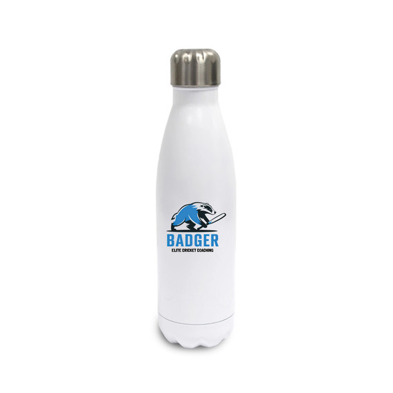 Stainless Steel Water Bottle -BGEC