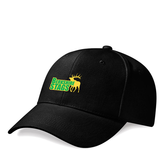 Basic Cap -BERKS