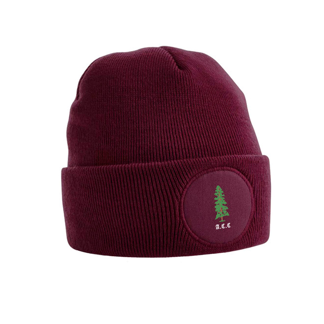 Tech Beanie-ALNECC
