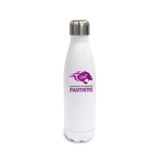 Stainless Steel Water Bottle -BRIU