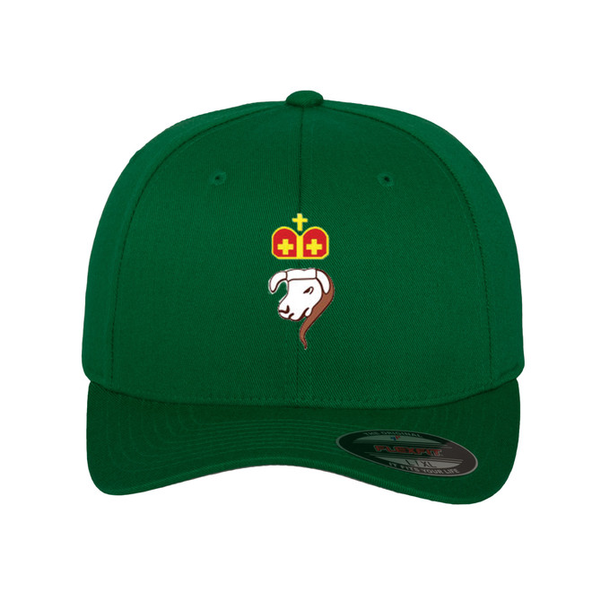 Flexfit Cap -BLKCC