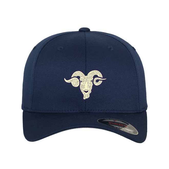 Flexfit Cap -SHIPB