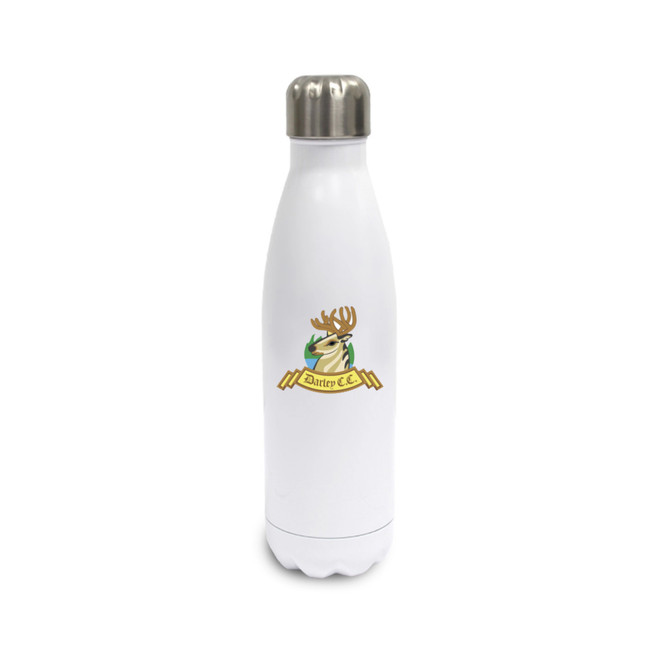 Stainless Steel Water Bottle -DLYCC