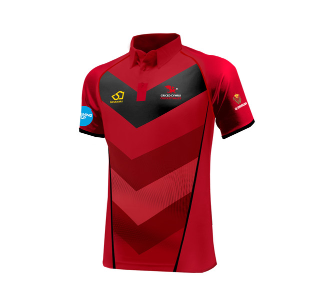 Not Available - Junior Disability One Day Playing Shirt-WALES