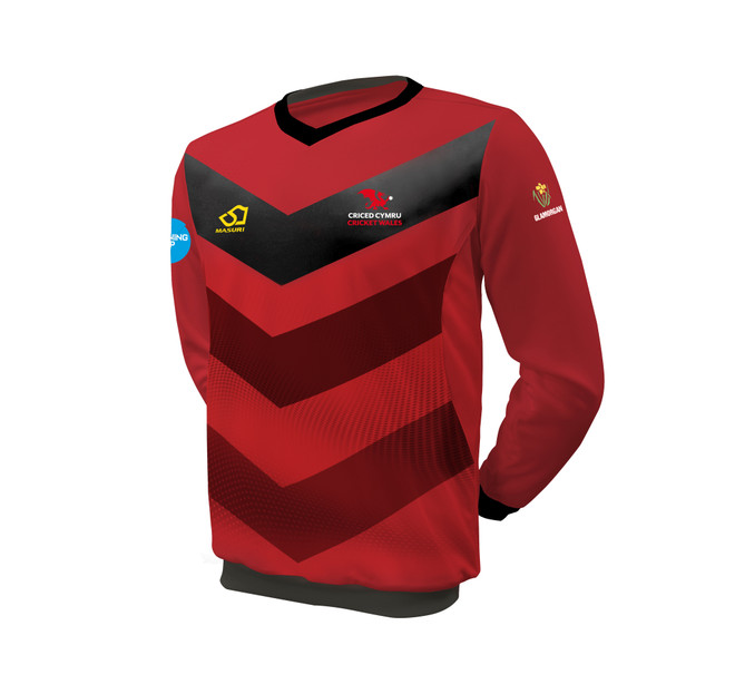 Not Available - Junior Disability One Day Playing Long Sleeve Cricket Slipover -WALES