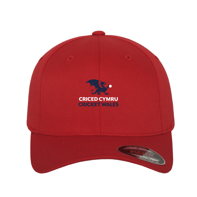Flexfit Cap -WALES