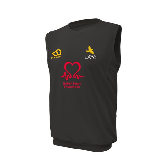 Coloured Sleeveless Slipover -LARWAN2