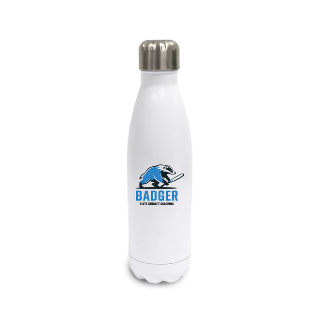Stainless Steel Water Bottle -BGEC