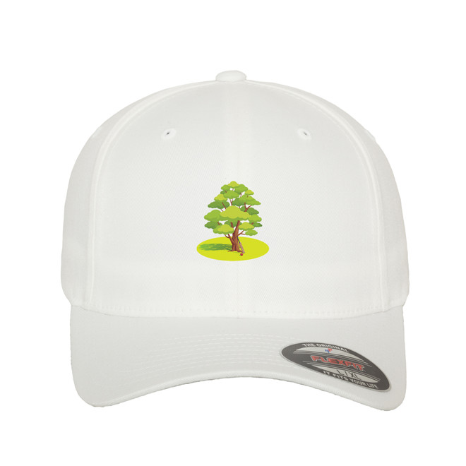 Flexfit Cap -BRTL