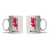 Mug-BALLICC