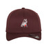 Flexfit Cap -EWHCC