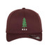 Flexfit Cap -ALNECC