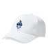 Basic Cap-CLAYS