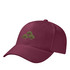 Basic Cap -SPARCC