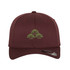Flexfit Cap -SPARCC