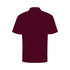 Active Polo Shirt -OHCC