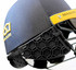 StemGuard-SRBCC